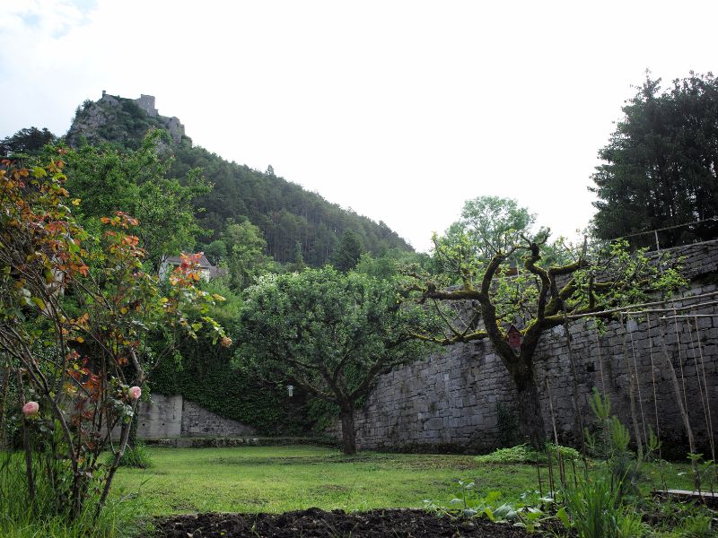 Vue de l'extérieur du gîte à Salins-les-Bains, avec vue sur la nature du jardin